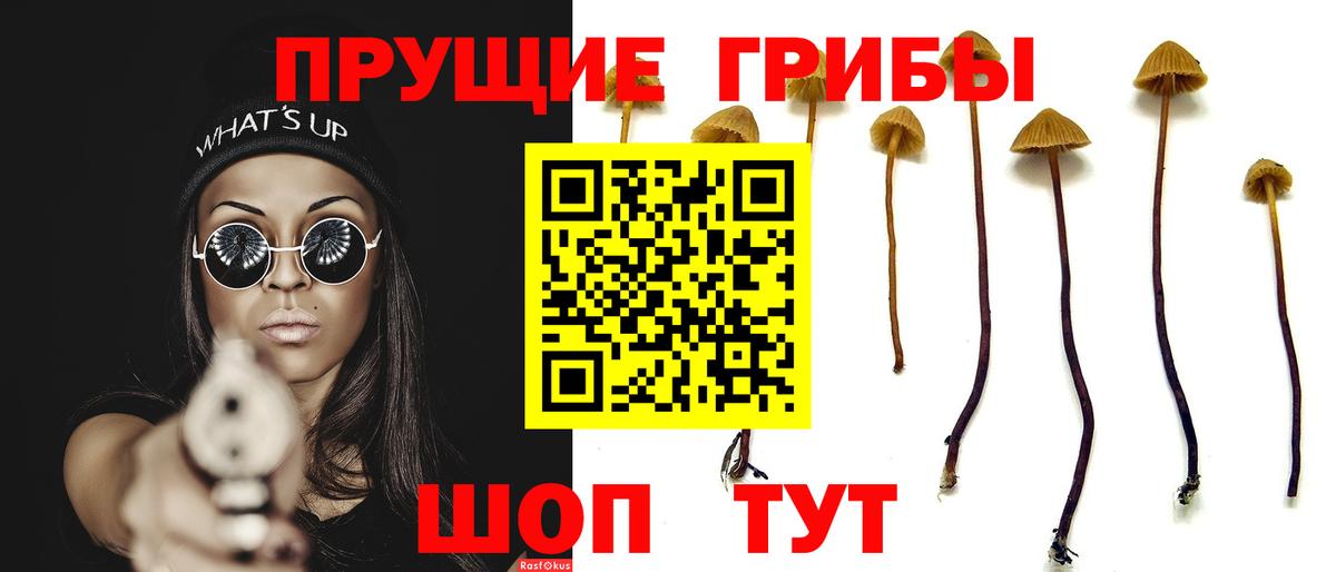 Псилоцибиновые грибы Psilocybe  Вход с VPN  что такое   Галлюциногенные грибы MAGIC MUSHROOMS  Кропоткин 